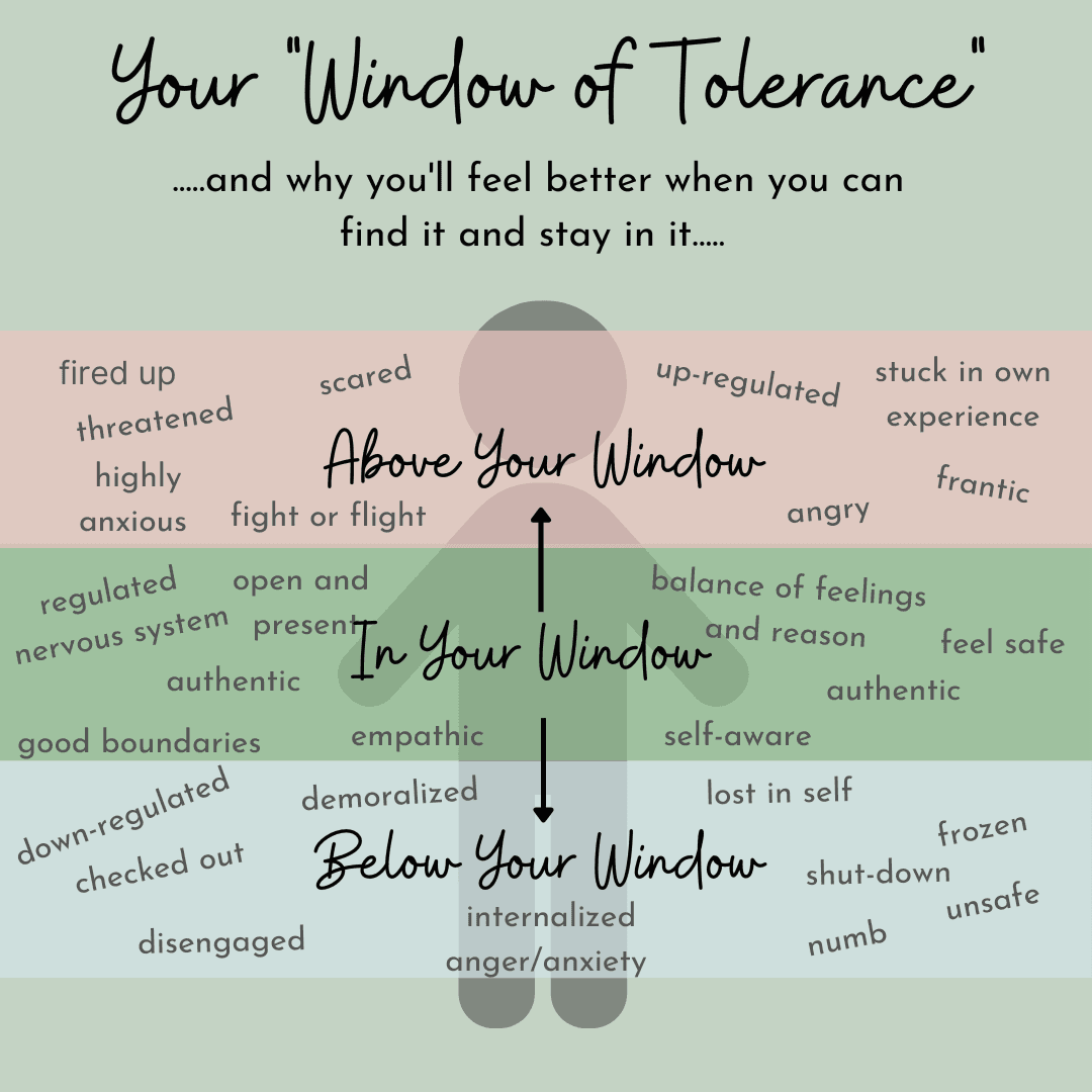 Diagram explaining the ‘Window of Tolerance.’ The middle green zone, ‘In Your Window,’ includes states like regulated nervous system, present, authentic, empathic, self-aware, and feeling safe. The upper red zone, ‘Above Your Window,’ shows hyperarousal states like anxious, scared, angry, frantic, threatened, or in fight-or-flight. The lower blue zone, ‘Below Your Window,’ shows hypoarousal states like checked out, disengaged, demoralized, numb, frozen, or shut down.